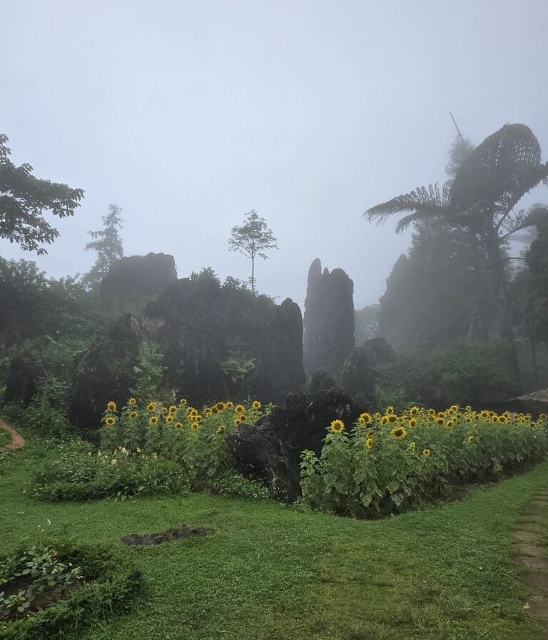 The Celestial Garden in the Clouds on Mount Ham Rong