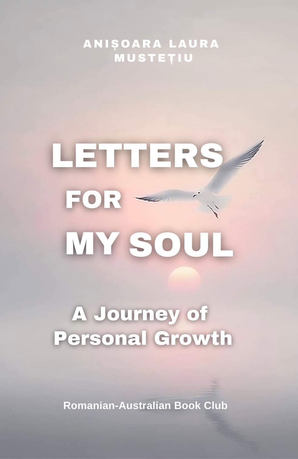 Letters For my Soul book