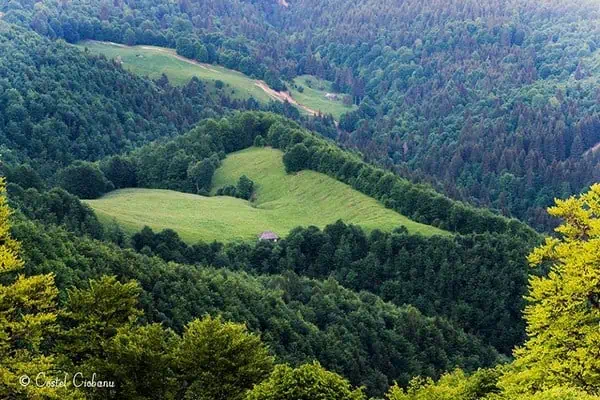 ”Letters for My Soul” – A Literary Review from Bucerdea Vinoasa by Maria Holhoș